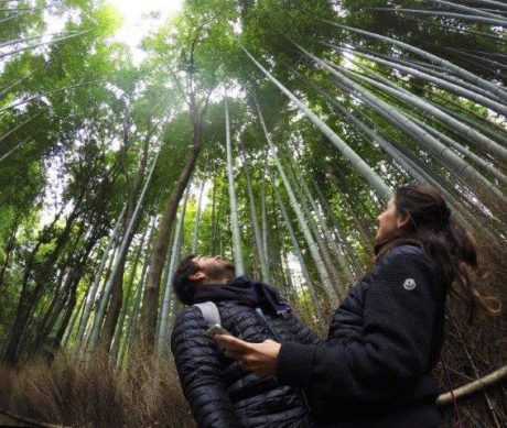 O casal em uma floresta de bambus 