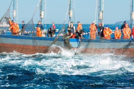 Resultado de imagem para Europa recusa pescado do Brasil a partir de hoje