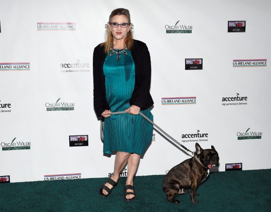 FILE PHOTO: Honoree Carrie Fisher and her dog Gary pose at the Oscar Wilde Awards at director J.J. Abrams' Bad Robot production company in Santa Monica, California February 19, 2015. REUTERS/Kevork Djansezian/File Photo