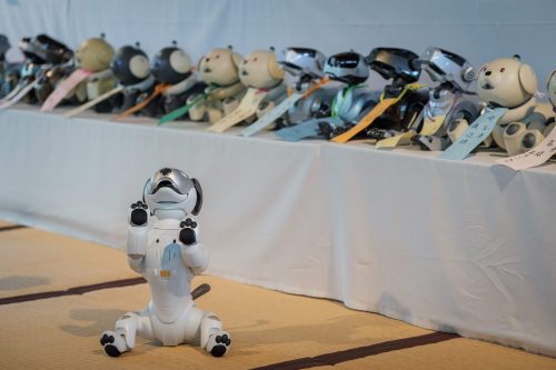 No Japão, cães robôs têm direito a funeral tradicional (foto: Nicolas Datiche/ AFP)